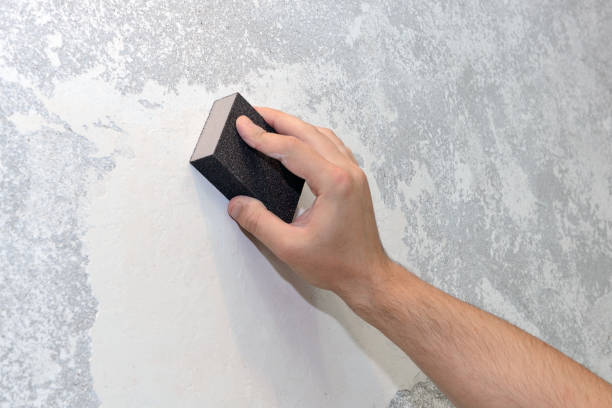 Best Forensic Mold Investigation  in Goshen, KY