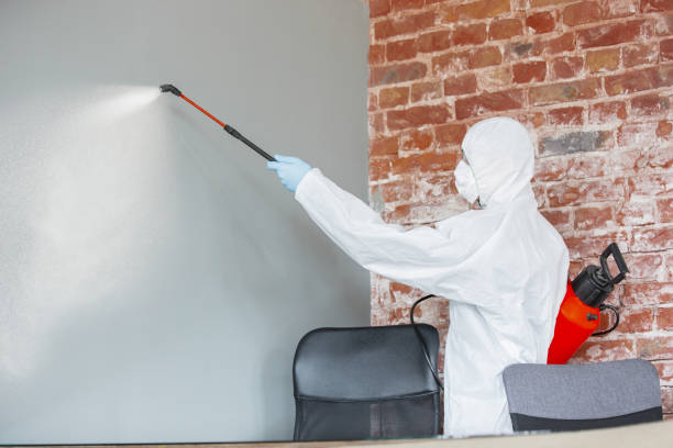 Best Mold Documentation for Insurance Claims  in Goshen, KY