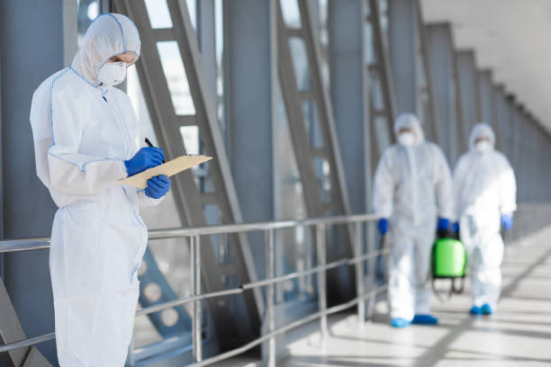 Best Black Mold Removal  in Goshen, KY