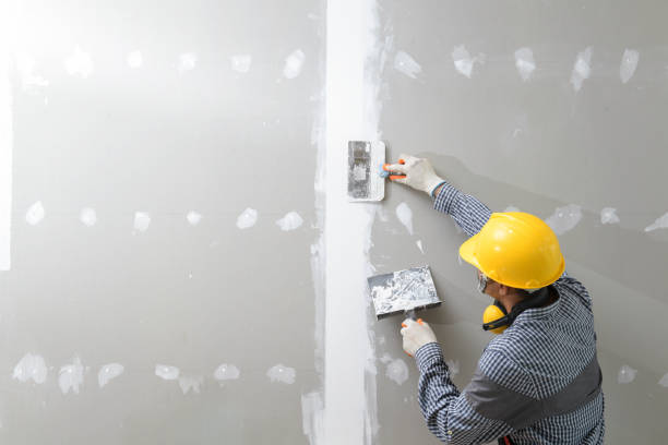 Mold Documentation for Insurance Claims in Goshen, KY