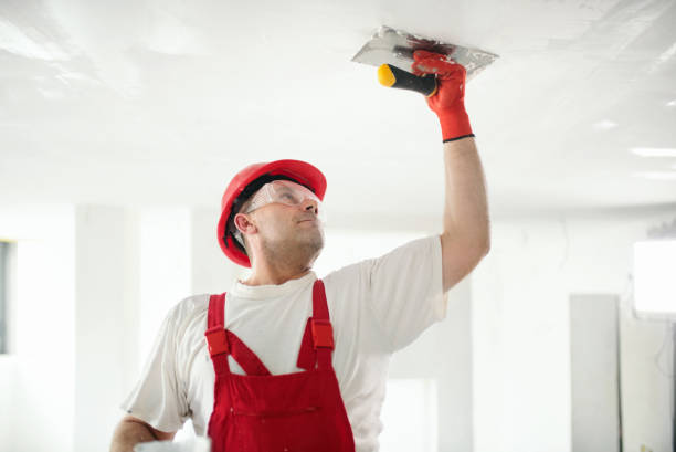 Best Asbestos and Lead Testing During Mold Inspection  in Goshen, KY