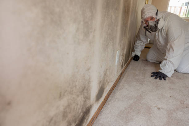  Goshen, KY Mold Removal Pros