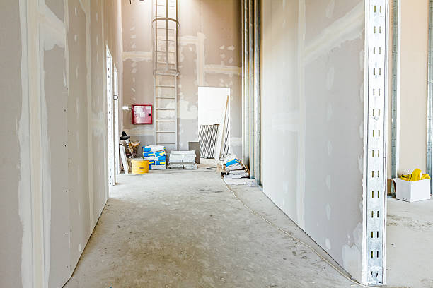 Best Biohazard Mold Removal  in Goshen, KY